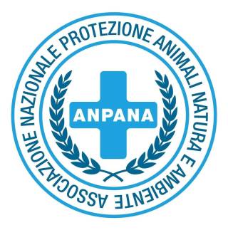 A.N.P.A.N.A.